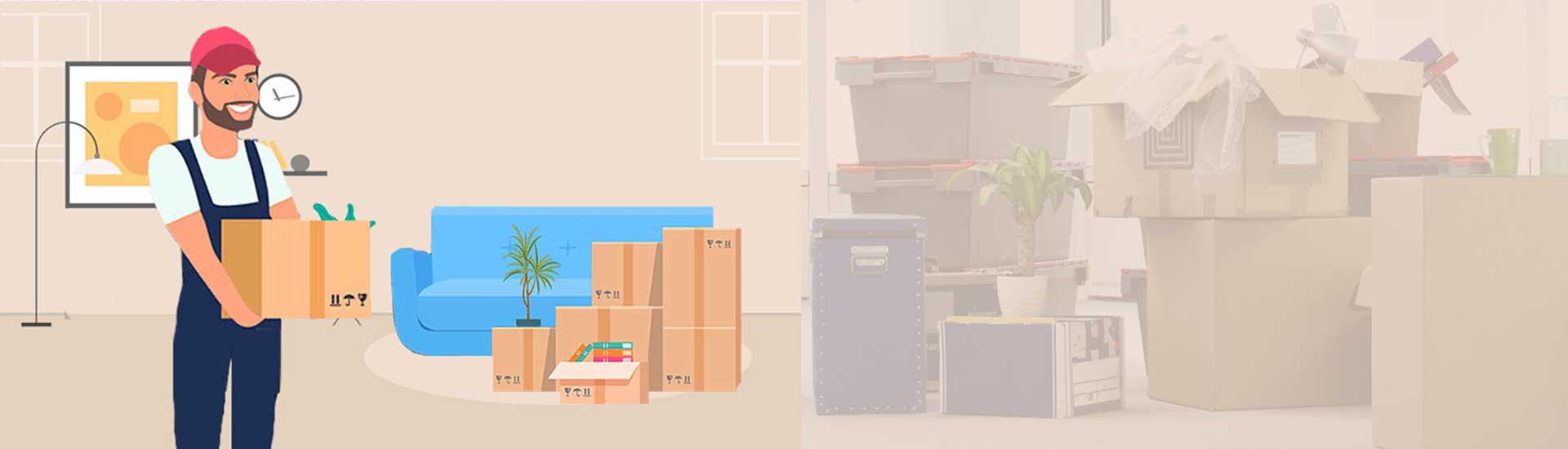 Why Choose Domestic Packers And Movers?